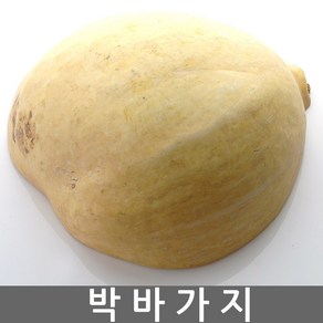 박바가지 함바가지 깨는바가지 박 호롱박 액막이 조롱박 함들이 결혼 이사 개업 액땜 장식