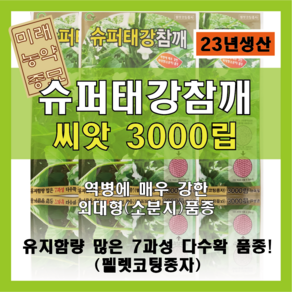 슈퍼태강 참깨 씨앗 (3000립/23년생산), 1개