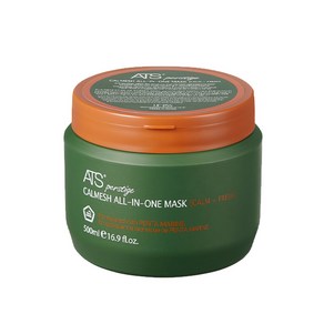 ATS 퍼스티지 카미시 올인원 마스크 500ml 두피열감 다운, 1개