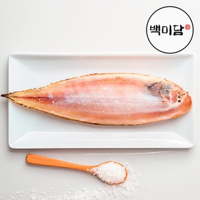 반건조 박대 서대 특대 35-40cm, 1세트, 20미