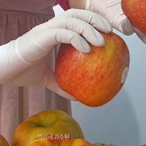 (정품엔비입고)엔비사과 정품 홍로 envy 예산사과 3kg이상정도 대략9과 맛있는 엔비사과, 시나노골드, 1개