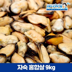 칠레 홍합살 9kg 벌크 냉동 업소용 도매 1/200 2/300, 200/300(9kg), 1개