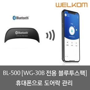솔리티 스마트 블루투스팩 BL-500 [WG-30B 전용 블루투스팩] 휴대폰으로 도어락 관리, 솔리티 블루투스팩 BL-500 (WG-30B 전용), 1개