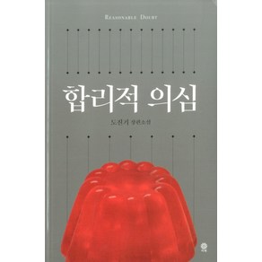 합리적 의심:도진기 장편소설, 비채, 도진기