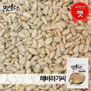 23년 해바라기씨 불가리아산, 1개, 500g