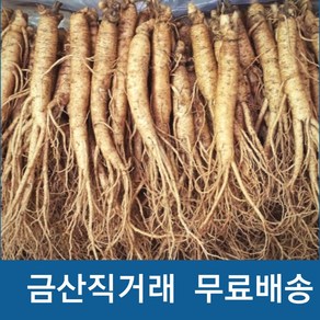 인삼 수삼 실속형 5 6년근 햇수삼(250g) 10-14뿌리 삼계탕 믹서용 원수삼, 1개