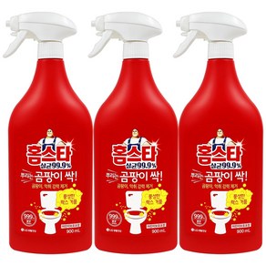 [후후맘] 홈스타 뿌리는 곰팡이 싹 900mL, 900ml-3개, 3개