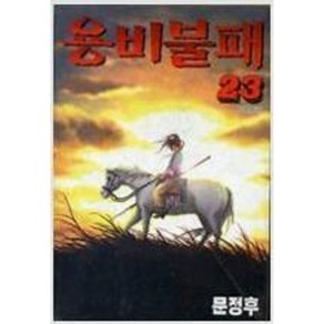 (중고/중급/ 나1-11바닥) 용비불패 1~23 완결 외전 1-12 / 전 35 권 (중고서적 북토피아 )