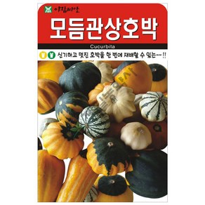 모듬관상호박 10립 24년 모듬관상호박씨앗 호박종자, 1개