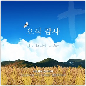 추수감사절 현수막 - 오직 감사 27110BLD