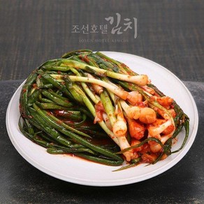 조선호텔 비법소스!! 맛있는 프리미엄 파김치 500g+150g, 1개, 650g