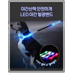 애견 LED 목걸이 강아지 산책야광목걸이, 오렌지