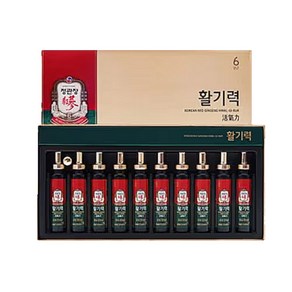 정관장 활기력 20ml 10병, 1개, 200ml