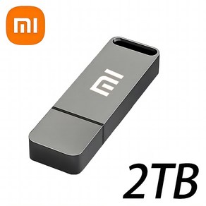 샤오미 고속 USB 3.2 C타입 인터페이스 휴대폰 펜 드라이브 8TB 컴퓨터 이중 사용 OTG 듀얼 플래시 메모리, 6) Gey 2TB