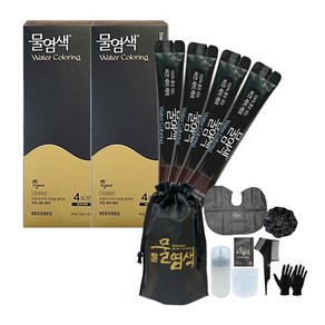 씨드비 프리미엄 물염색 시즌2 2박스+염색도구, 다크브라운, 2개