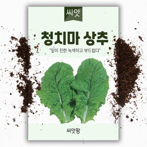 청치마 상추씨앗 (4g)-상추씨