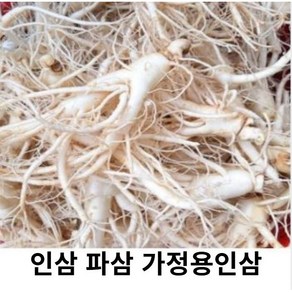 금산 인삼 파삼 못난이 인삼 1kg 세척파삼 세척인삼 파삼가정용 5년근 6년근 수삼 난발삼, 1kg파삼, 세척(x), 1개