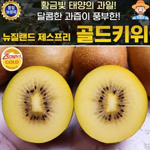 뉴질랜드 제스프리 골드키위 가정용 특대과 20과 2.2kg내외, 1개, 대과 20입 2.2kg내외(5입*4팩)