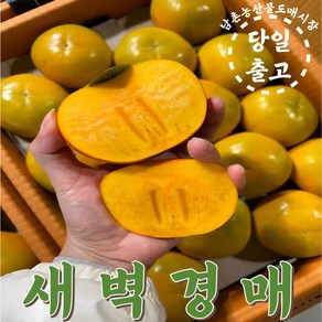 본푸룻티 과육이부드러운 A급창원단감 가정용 5KG 10KG