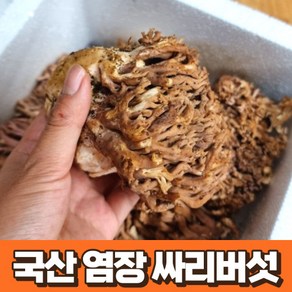 염장 싸리버섯, 1개