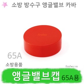 카바 앵글밸브캡 65A 소방 스프링클러 배관 방수구, 1개