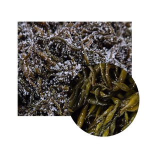 [삼화해조류] 염장 톳, 4개, 500g