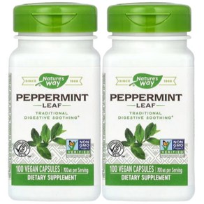 네이처스웨이 페퍼민트 Peppemint Leaf 700mg(퍼서빙) 100정 2개