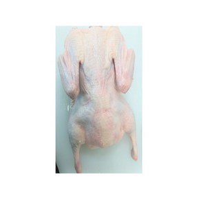Daging bebek 2.6kg, Daging bebek오리고기2.6kg, 1개