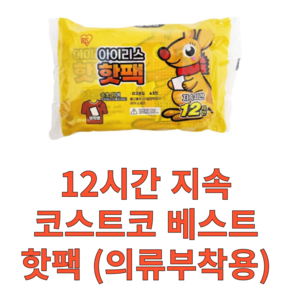 패피랑 코스트코 아이리스 의류 부착용 핫팩 40g, 30개