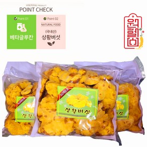 원헬스 국내산 상황버섯 500g 한국 국산 상황버섯, 1개