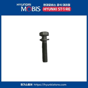 볼트로커 커버 10MM (2244835550)