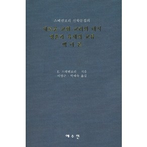 스베덴보리 신학문집의새로운 교회 교리의 대지 영혼과 육체의 교류 백마론