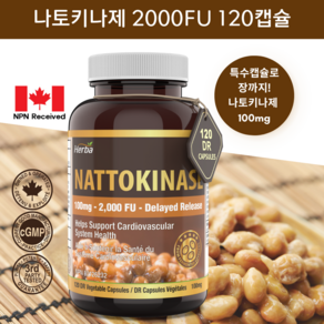 나토키나제 2000FU 120캡슐 나토키나아제 100mg 허바 캐나다, 1개, 120정