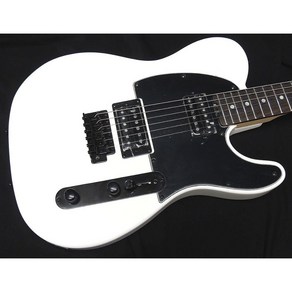 쉑터 일렉기타 SCHECTER OL-PT-2H-VTR SWR 텔레캐스터 타입