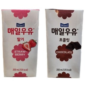 매일 멸균 우유 초코 딸기, 200ml, 48개