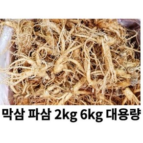 금산인삼시장 수삼 파삼 가정용 흠있는 1kg 못생긴인삼 막삼 대용량