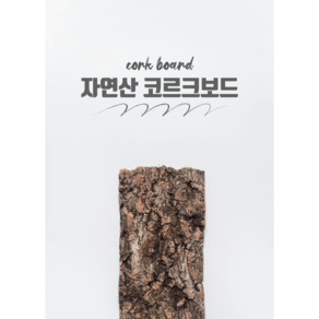 파충류 코르크보드 크레스티드게코 유목대용 백업 굴피껍질, 1개, 20cm