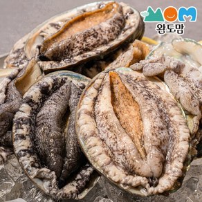 완도맘 완도 활 전복 1kg(11-13미) 국내양식산, 1개