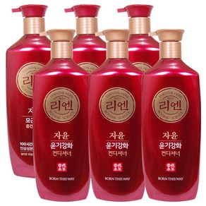 리엔 중건성 샴푸+컨디셔너 950ml 한방샴푸