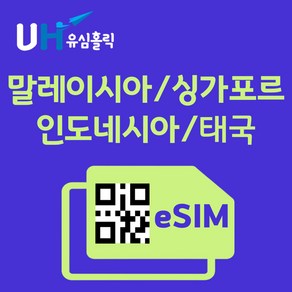 유심홀릭 말레이시아 싱가포르 인도네시아 태국 이심 eSIM 데이터 FM e심