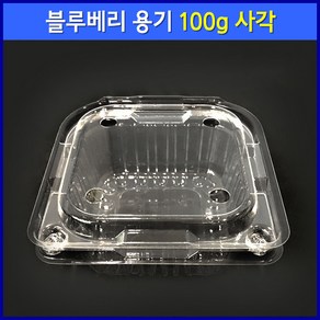 블루베리 용기 100g 사각 (125개) / 베리류 아로니아 오디 복분자 방울토마토 과일 포장 용기, 1세트, 125개