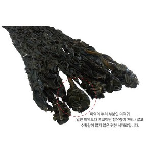 동해바다 자연산 돌미역(산모미역), 1개