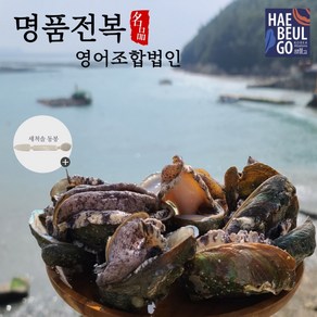 완도 명품 활전복 특대 8-9미 1KG [손질솔 증정]