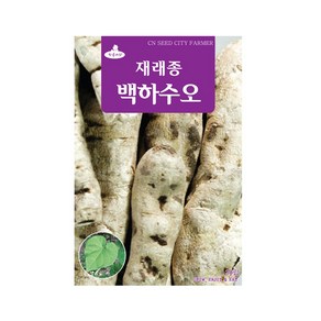 (CN) 백하수오 씨앗 (30립), 1개