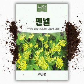 씨앗팜 허브 펜넬 씨앗 (2g)