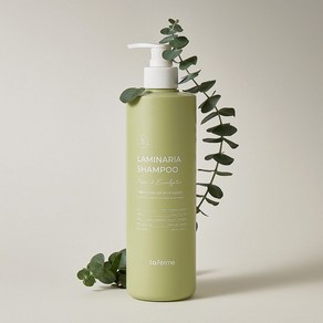 [두피냄새피지제거] 라페름 라미나리아 샴푸 파인 앤 유칼립투스 500ml, 1개