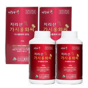 지리산홍화인 가시홍화씨 환, 250g, 2개