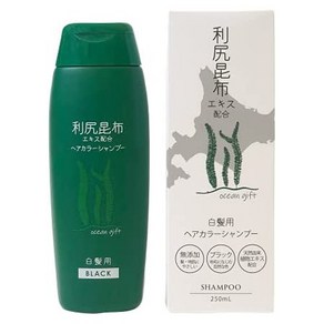 일본직발송 6. 일본 메디코 리 시리 다시마 헤어 컬러 샴푸 250ML (블랙) B092R89LFF