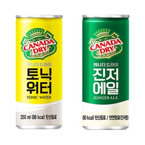 [중앙몰] 캐나다드라이 250ml 진저에일 10캔 + 토닉워터 10캔 총20캔 하이볼 음료수, 1세트