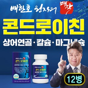 관절건강 상어연골 콘드로이친 관절엔 무릎관절 영양제, 12개, 60정